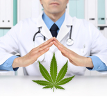 האם קנאביס רפואי יכול להקל על כאבים כרוניים בקשישים?-תמונה